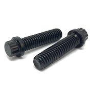 1/2-20x2" Alloy 12 Point Flange Screws Black Oxide